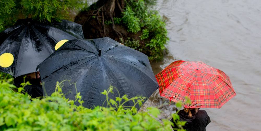 Flood warnings issued as heavy rain sends Adelaide rivers and creeks rising