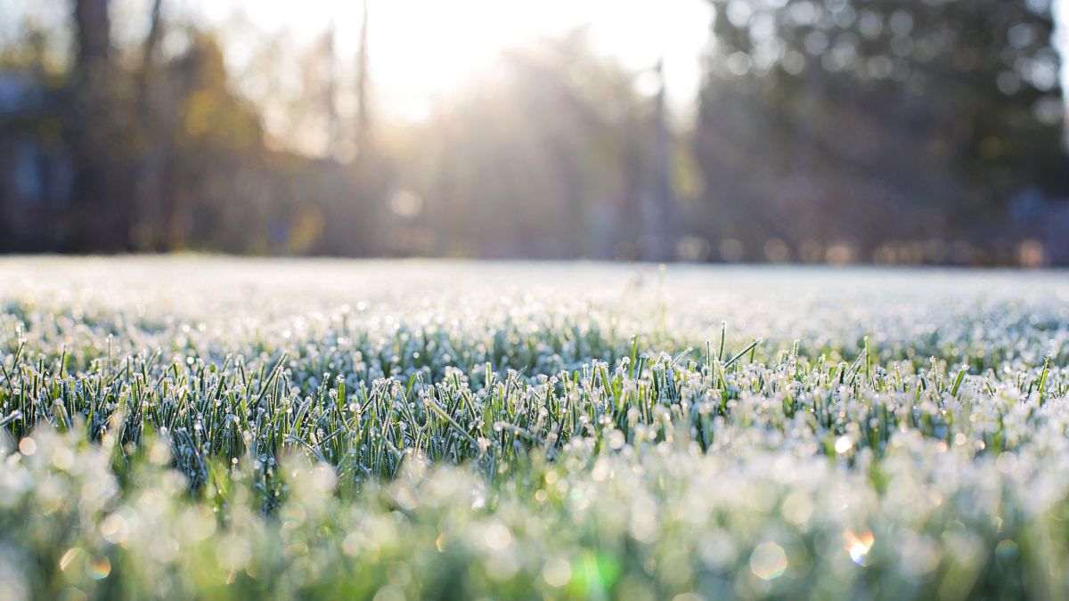 Wet and cold weather triggers statewide Code Blue across SA